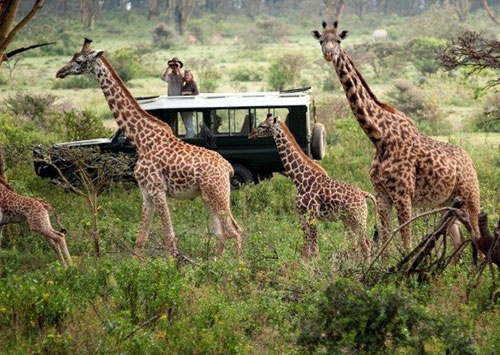 SportPesa deals boosting Kenya's tourism sector