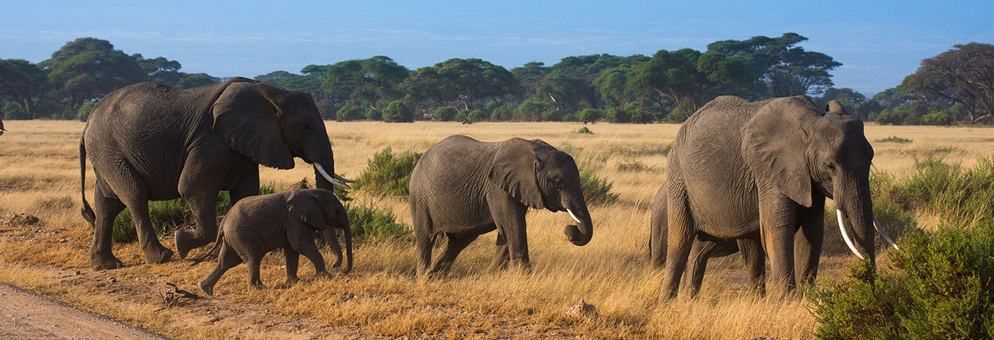 Destinations in Tanzania