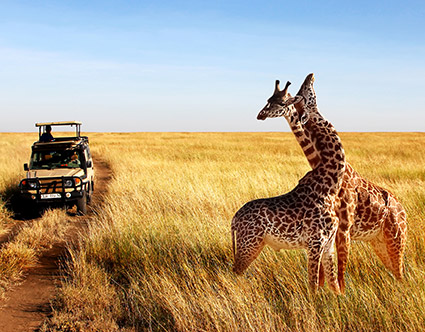 Serengeti