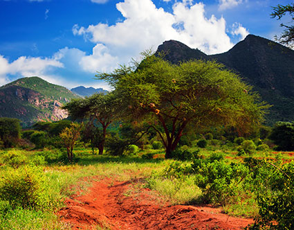 Tsavo